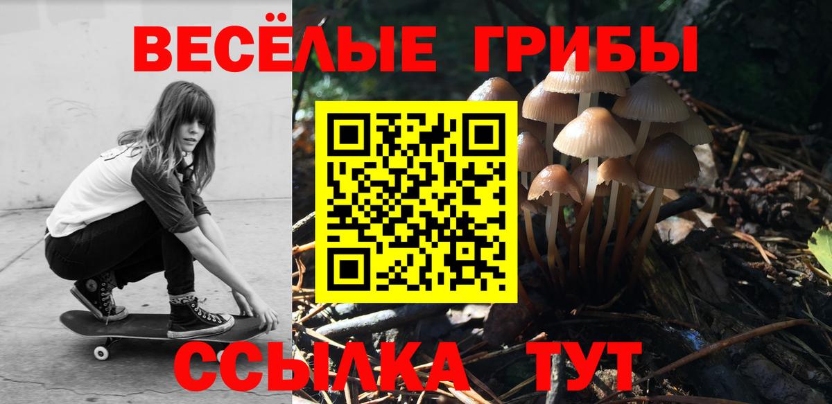 Галлюциногенные грибы Magic Shrooms  Вход с VPN  Псилоцибиновые грибы прущие грибы  магазин    Нальчик 