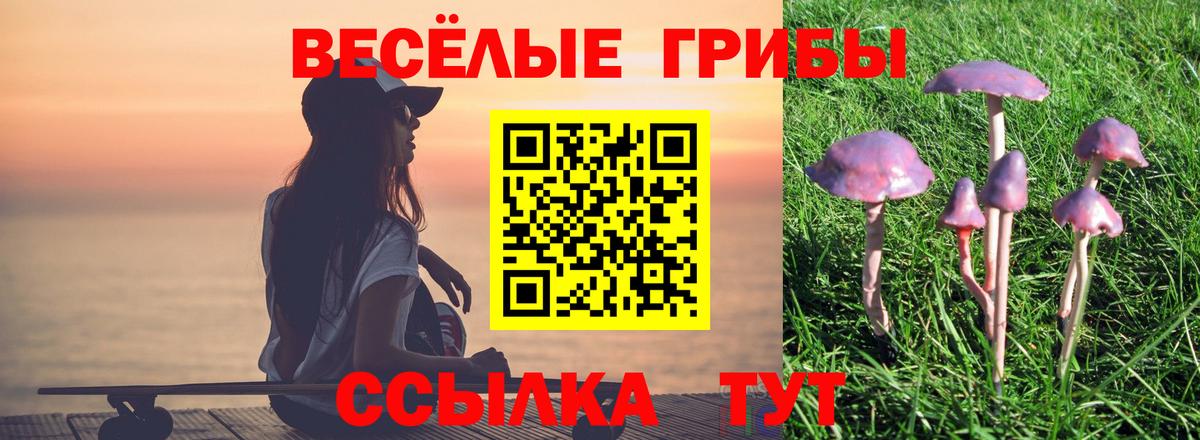 Галлюциногенные грибы MAGIC MUSHROOMS Нальчик